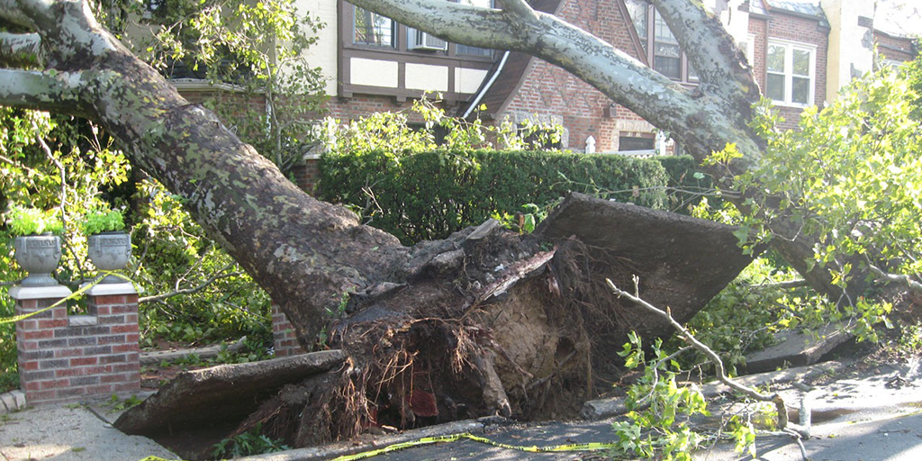 soi4kent's tweet photo. A #storm hits your home! Now what? Here’s you can help the #claims process to go smoothly. https://t.co/bKwH4ZEQbW https://t.co/75esQwCXVW