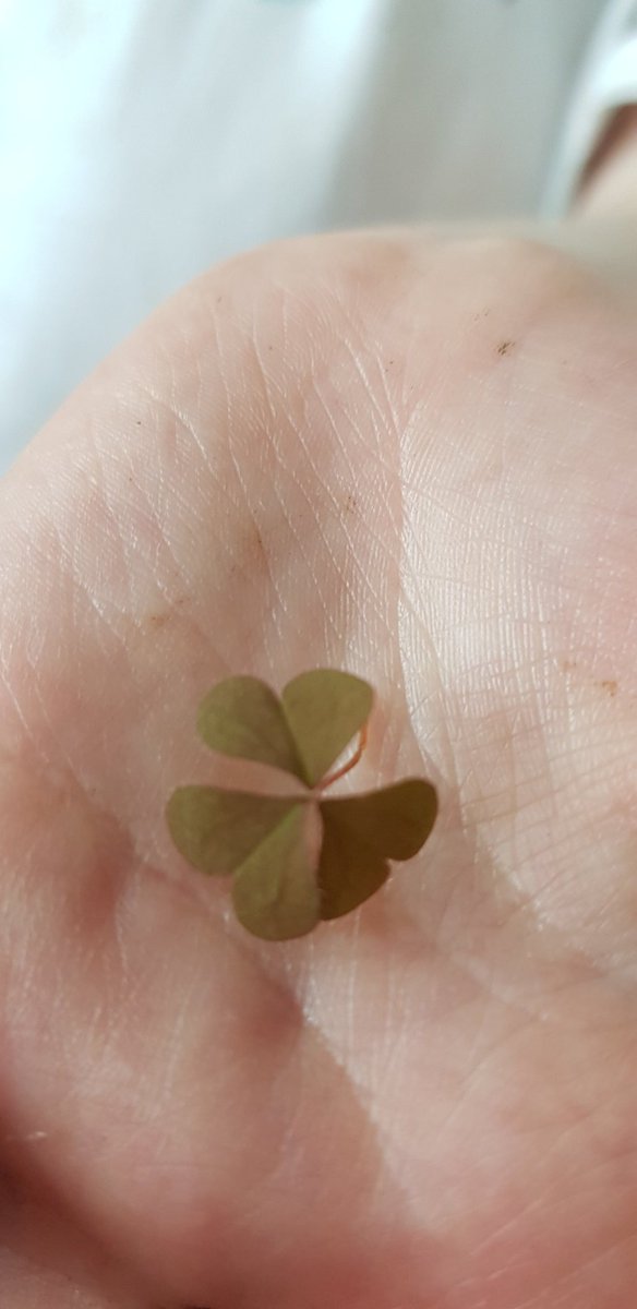 Sonia Blake tweet media