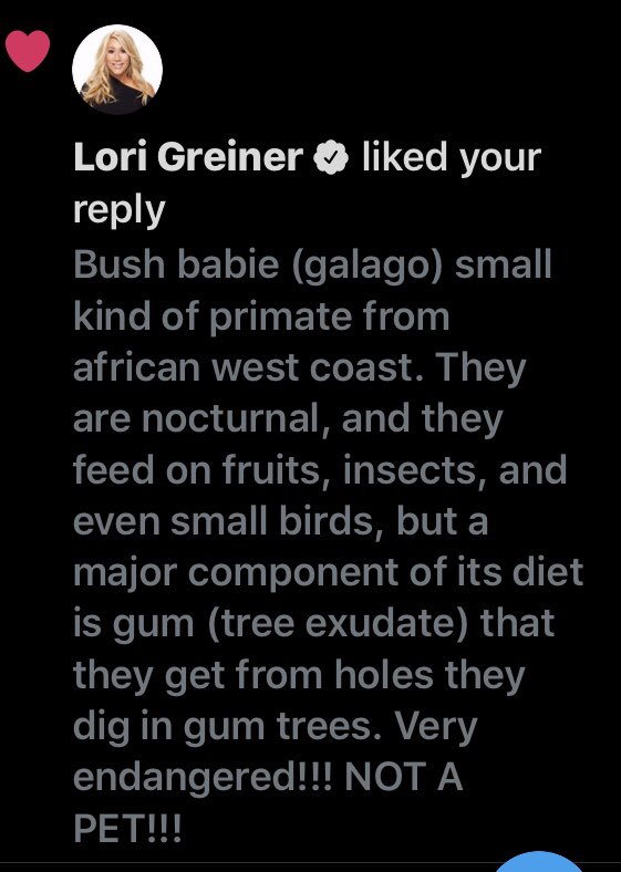 JagusBasia tweet media