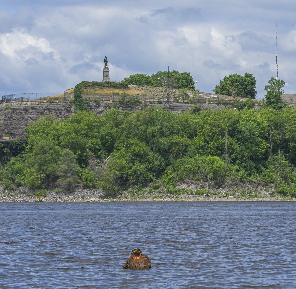 BellaLinzilong's tweet photo. A turtle in #Ottawariver. in front of #Nepeanpoint.
#turtles #photography #animals #animalphotography #PHOTOS #wildlife #dilwlifephotography #ThePhotoHour https://t.co/aKWhF4QrtZ