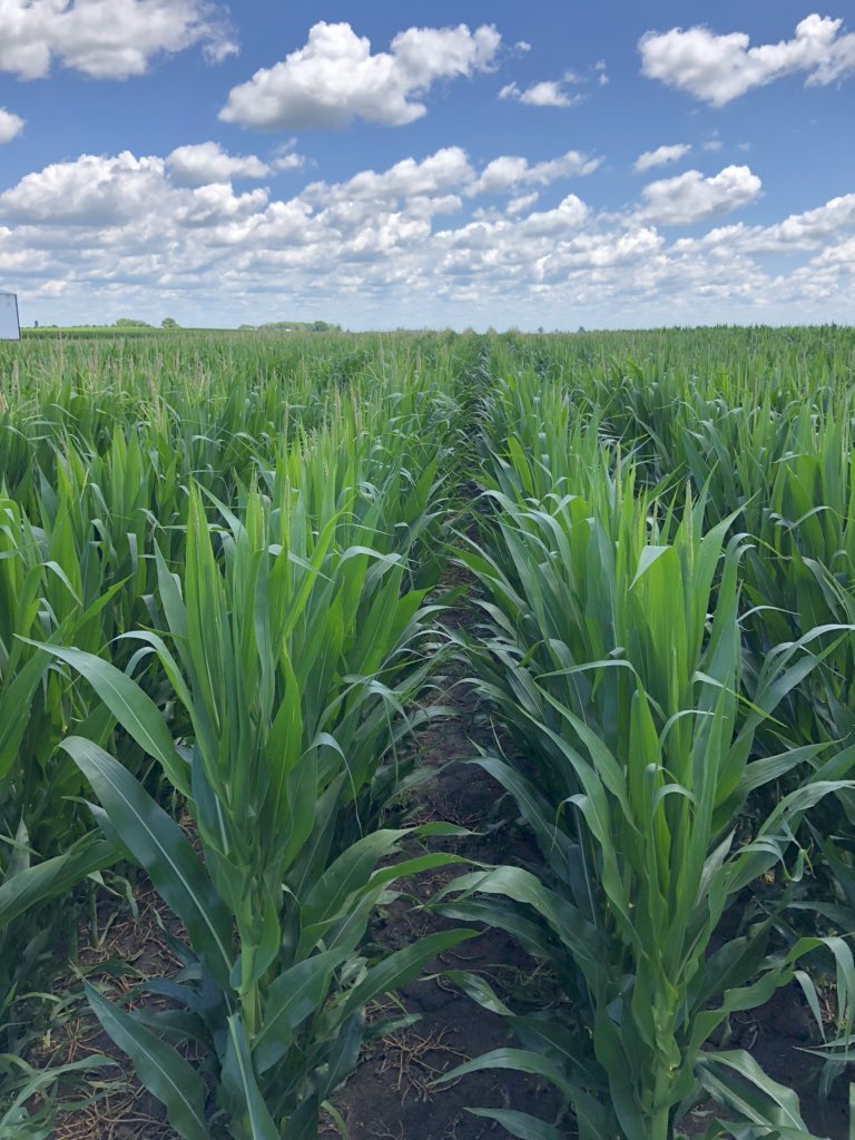 Jason Carr tweet media