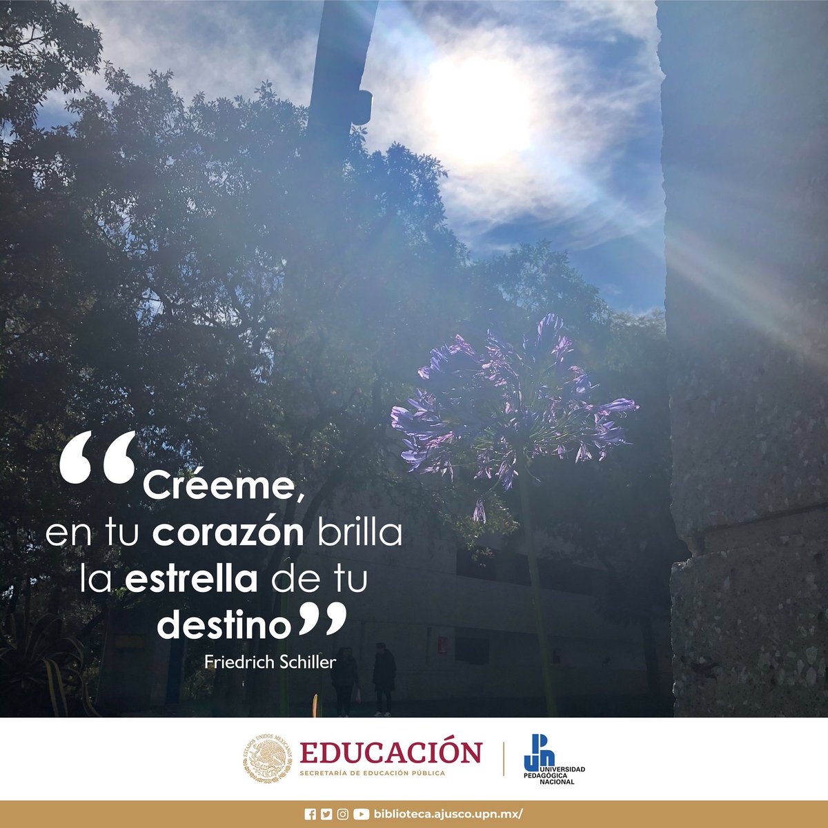 bibliogtq's tweet photo. Y cada día que pasa... extrañamos tu brillo.

#TeExtrañamos #PensamosEnTi #GTQContigo #BiblioGTQ #UPNmx #TodosSomosUPN #EducarParaTransformar https://t.co/t75YA09uGV