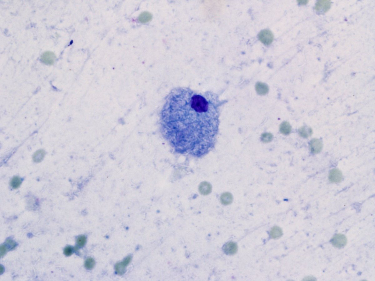 Chris VandenBussche tweet media