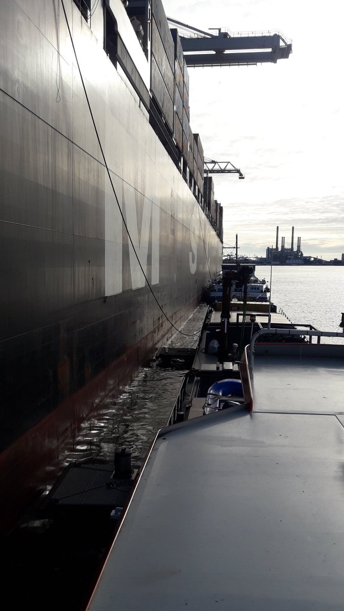 SimonSailing's tweet photo. Welterusten Rotterdam.
#rotterdam #portofrotterdam #msc #mdctopaz #europahaven #maasvlakte #simonsailing wordt #simonschippert https://t.co/mIznEbcshT