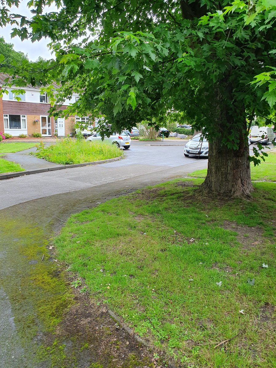 LeosWMP's tweet photo. We find all the secluded areas and keep an eye on them to keep our communities safe! PCSO Nicky took both photos from the same spot! One side is a green space, the other very urban. #TogetherWeAreStronger #lovemypatch https://t.co/w96AquoJVx