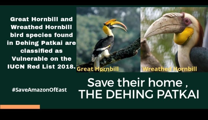 WasefaN's tweet photo. DPER is home to 50+ mammal, 350+ bird, 310+ butterfly, 70+ reptiles & amphibian, incl NAMSANG KUKRI (an endemic snake spp to eastern Assam), 40+ odonates, 94+ tree and 107+ orchid spp. Save whole DPER!
#ProtectMeToo #IAmDehingPatkai .@CMOfficeAssam .@ParimalSuklaba1 .@asomputra https://t.co/7Szg9wrTzP