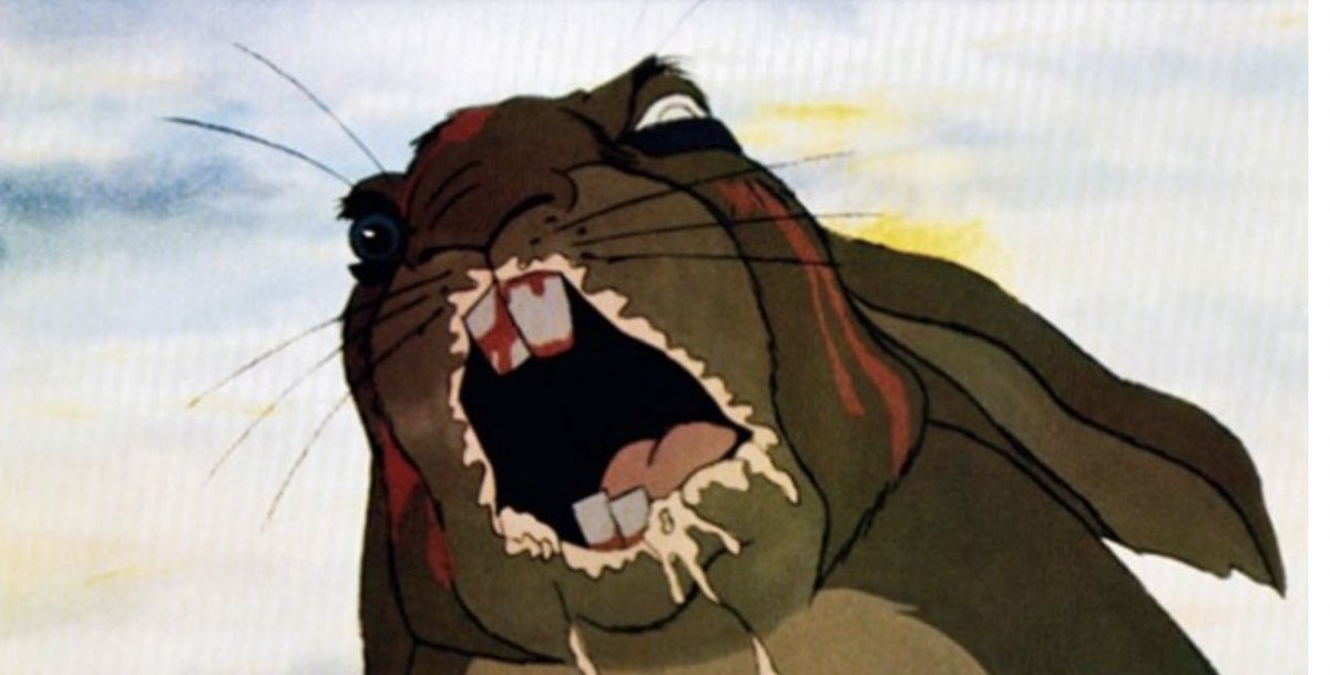 BeeActiv_Conan tweet media