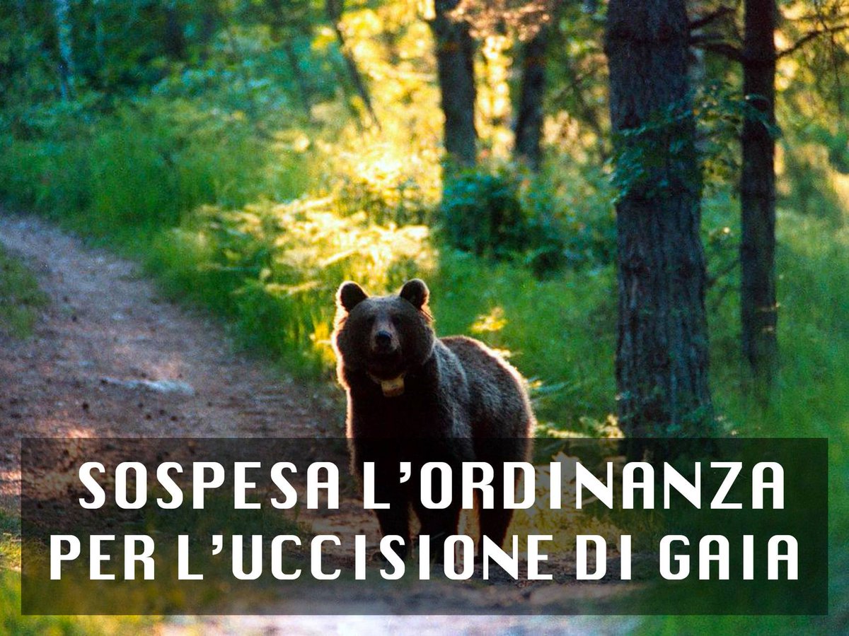 Animalisti Italiani tweet media