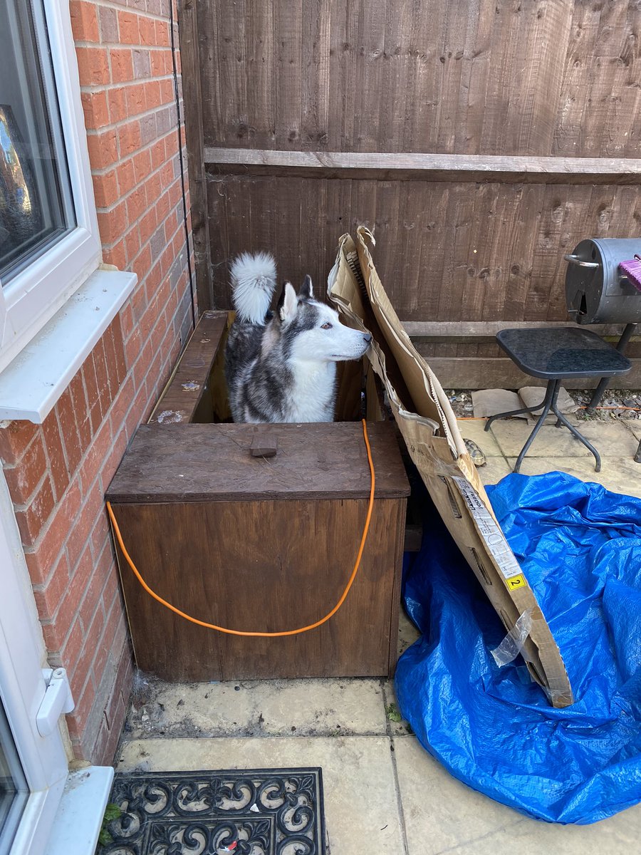 Lady popped ‘in’ to see Shelly 🙄