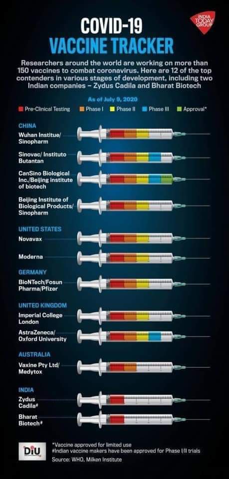 CoronaCovid19's tweet photo. #COVID19  vaccine tracker - candidates Development Progress #Covid_19 #coronavaccine #COVID__19 https://t.co/Cz0E8QCJp9