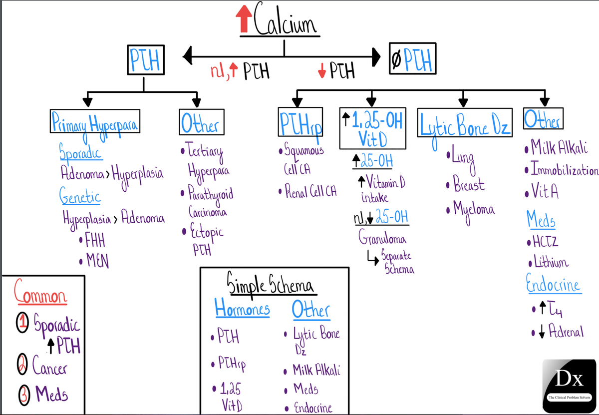 NUIM_Chiefs's tweet image. #MorningReport today with @snehathatipelli @macwalterMD @INizamuddinMD Tasmeen Hussain and Adam Niemann was a fantastic #coldcase on #hypercalcemia! Pearls learned 1) HyperCa is either a PTH or non-PTH mediated process. Great schema by @CPSolvers