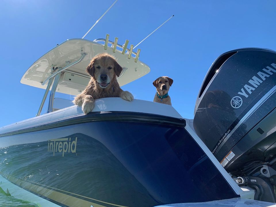 Intrepid_Boats's tweet photo. Since 1983, Intrepid has committed itself to delivering the industryβs most powerful, completely custom vessels ONE OF A KIND. ONE AT A TIME.
#Intrepid #IntrepidBoats #IntrepidNation #Boating #Fishing #NewBoat #BoatBuilder https://t.co/oGziqvbSmT