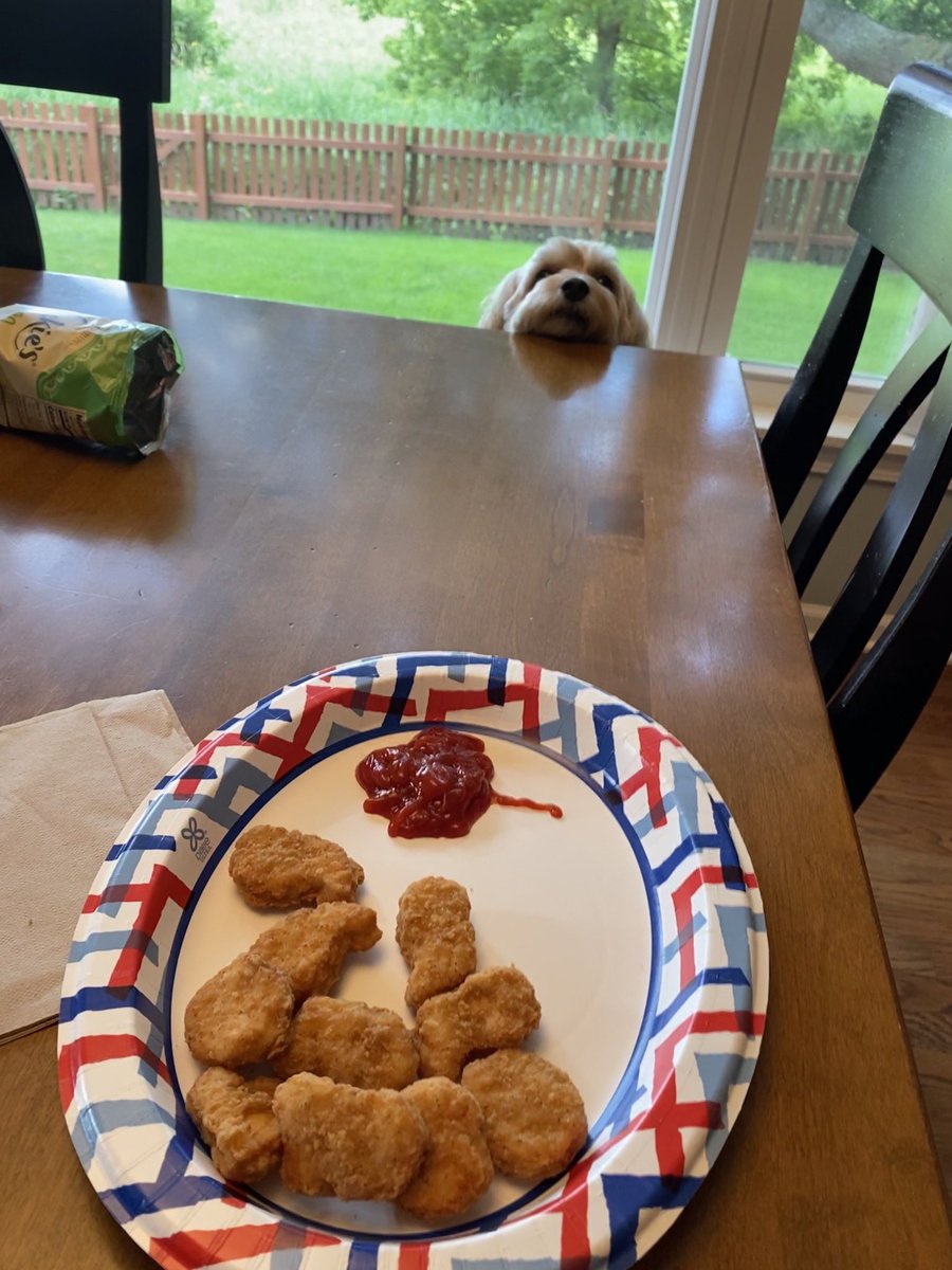 disneydognemo's tweet photo. i want alllll the chicken nuggets #sharingwithnemoiscaringfornemo https://t.co/mEhjN2zNDu