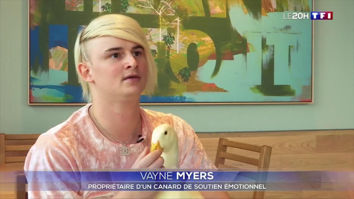 GroseilleJlouis's tweet image. Mdr excusez moi un propriétaire de quoi ?!