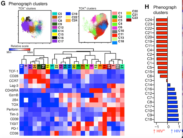 mmw_lmw's tweet photo. Human #EffectorMemory #CD8_T_cells | TOX is expressed by exhausted and polyfunctional CD8 | in HIV infection | Marcus Buggert @karolinskainst @SciImmunology https://t.co/QVXomaEzCF https://t.co/CY0svHnEwp