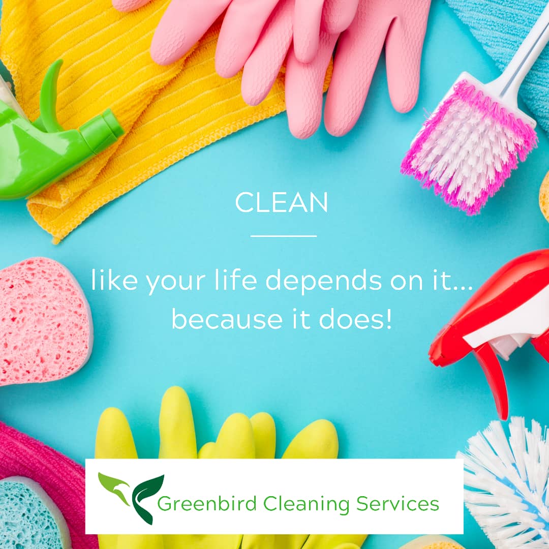 GBcleaning_ng's tweet photo. Our Environs affect our life, let's practice good hygiene and clean our Environment, but you don't have to stress yourself as @GBcleaning_ng  is here for you. Contact us today @GBcleaning_ng  or 09071825227 for Hire and Enquiries.
#WeCleanYouMakeMoney
#phcleaners
#greenclean https://t.co/EvPXMyLQhm
