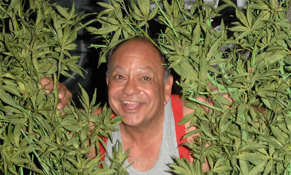 Happy 74th birthday to Cheech Marin! 