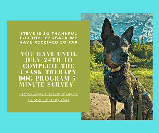 PAWSYourStress (@pawsstress) on Twitter photo 