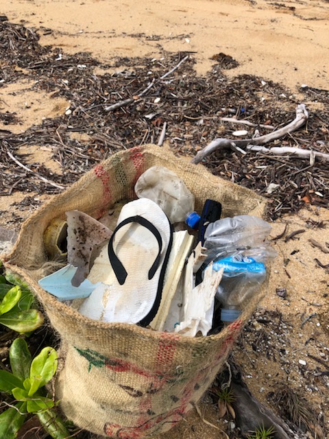 Cassowary Coast Regional Council tweet media