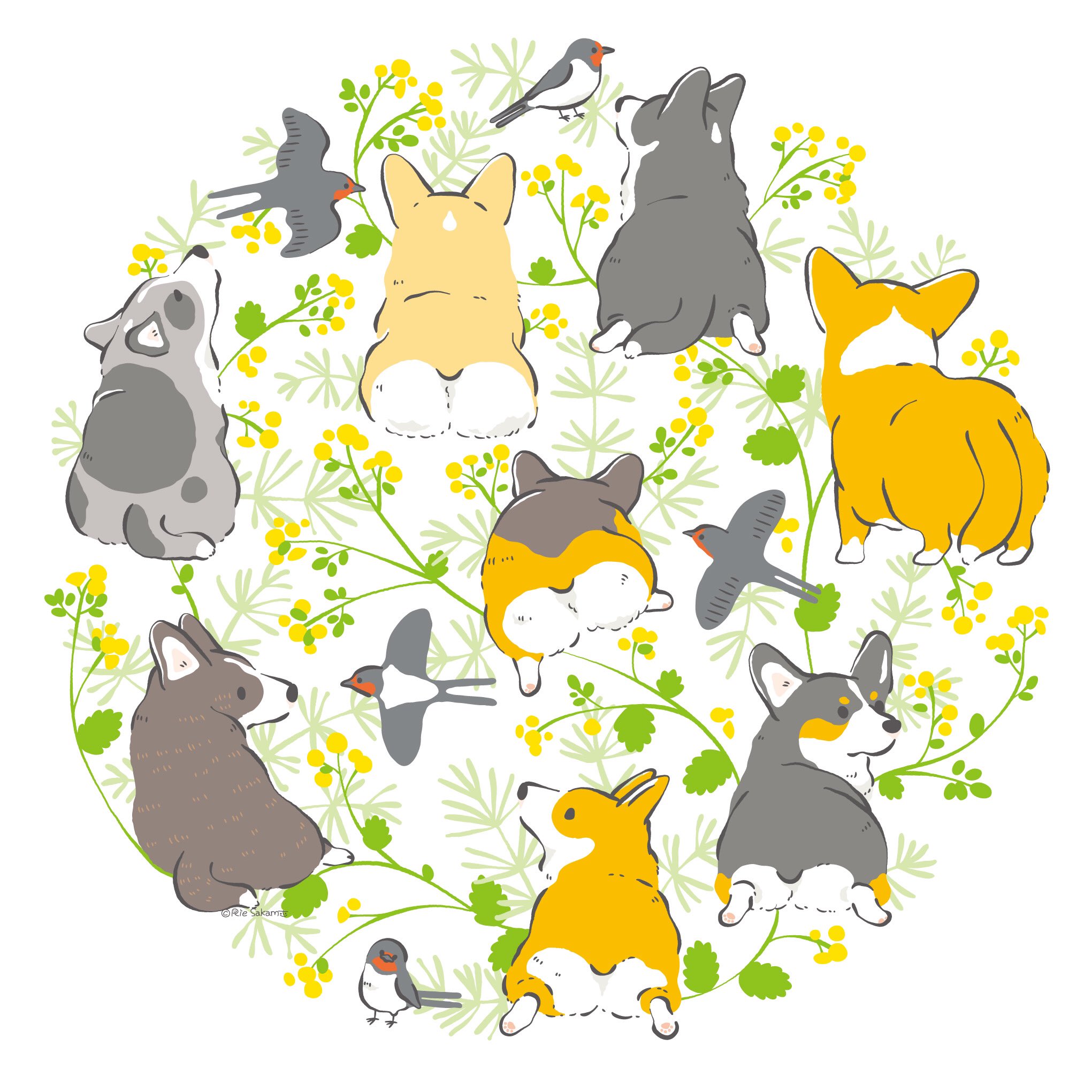 تويتر サカモトリエ デザフェス両日 イラストレーター على تويتر おちりコーギーとツバメ 9 9 Corgi コーギー ツバメ T Co N4ridprvdb تويتر サカモトリエ デザフェス両日 イラストレーター على تويتر おちりコーギーとツバメ 9 9 Corgi コーギー ツバメ T Co N4ridprvdb