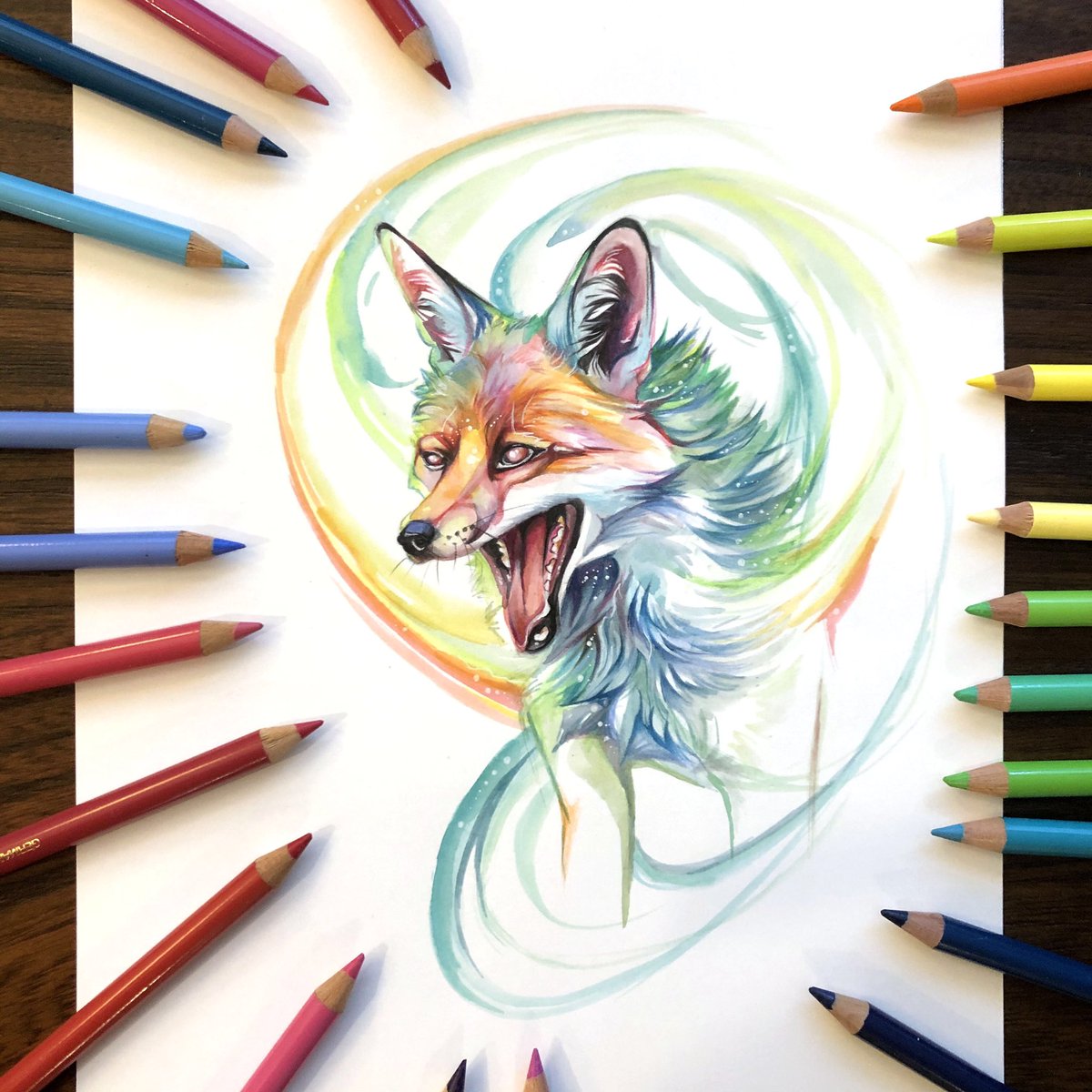 Katy_Lipscomb's tweet photo. Day 192: Rainbow Fox

rawr. Something bright and rainbow-y and for today! 
.
.
.
#fox #coloredpencil #fabercastell #rainbbow #illustration #pencildrawing #watercolor https://t.co/j1nGur93k5