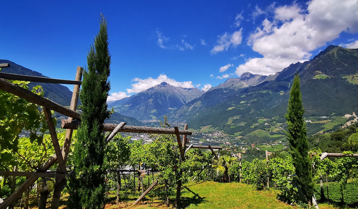 DerEmskanal's tweet photo. Das sonnige #Südtirol in #Italien macht heute seinem Ruf alle Ehre mit traumhaftem Blick von #DorfTirol, oberhalb von #Meran, ins #Etschtal - Der #Tourismus erholt sich aber nur langsam nach #Covid_19 https://t.co/LkHiuHuN0v