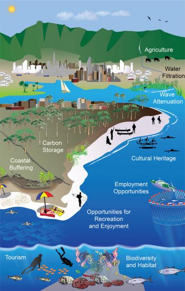 The ecosystem topic section of the U.S. Climate Resilience Toolkit lets ...