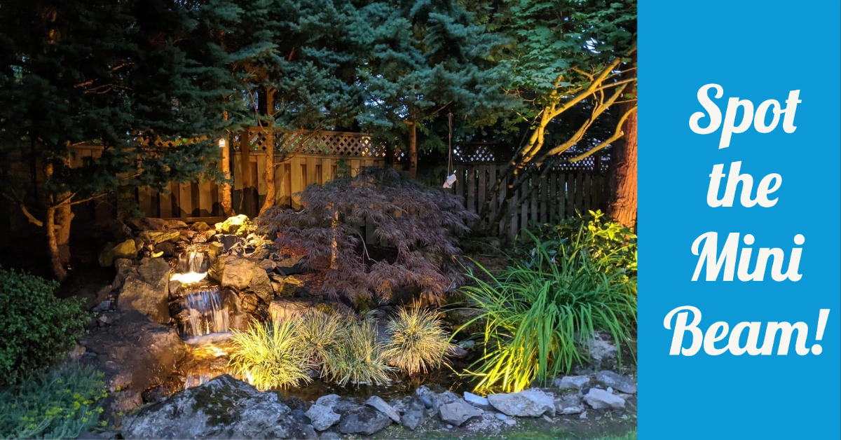 BrillianceLED's tweet photo. It's time for #SpotTheMiniBeam! Special thanks to Rishi B. of Oregon for sharing this project with us. More details about this project coming in the future. #MiniBeam #BrillianceLED #led #outdoorlighting #ledlighting #lightingdesign #landscapelighting #madeinUSA https://t.co/yTV66RdZ65