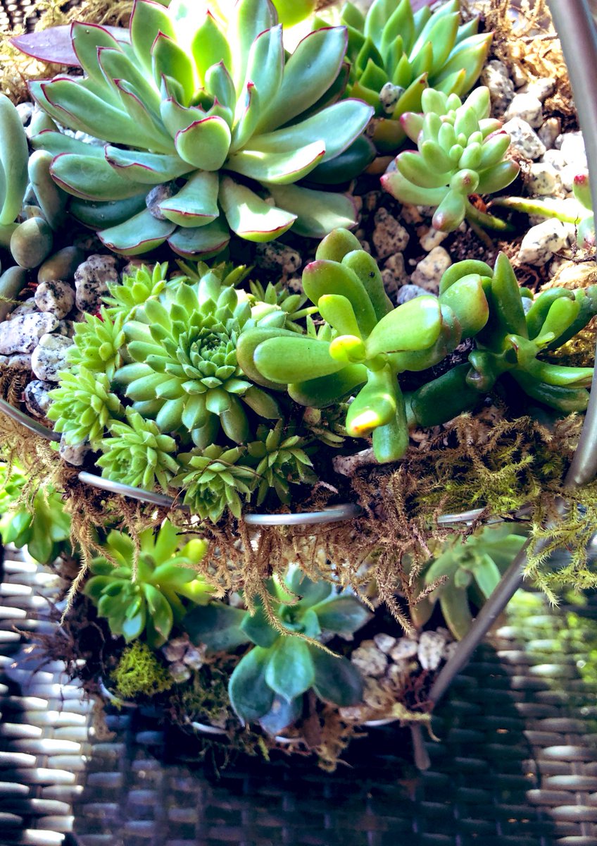 nleighc's tweet photo. sundays spent with you..☺️drives with no destination &amp; patio hits like this are everything🙌🏻🌿✨ https://t.co/C5H0hwzjRX