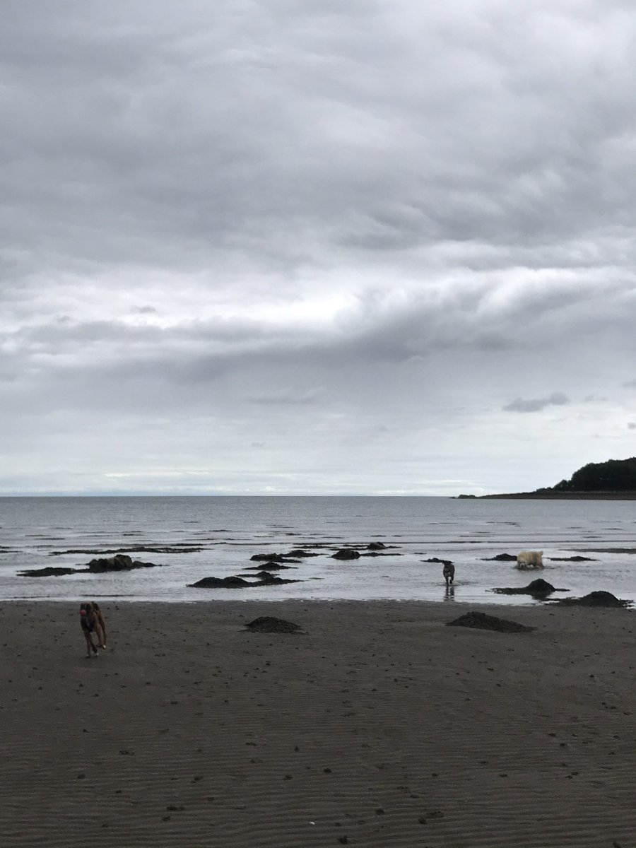 cathyjamieson's tweet photo. Beach and woodland walks today at #garlieston still managed to fit in some work for @CVResidential @CVFostering @thewhynottrust @KilmarnockFC @KillieTrust and an interview for @WestFMNews #walkdownthelockdown #busydayoff https://t.co/Vr5phH3LA1