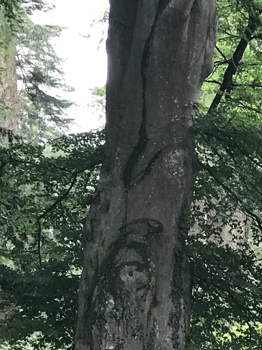 cathyjamieson's tweet photo. Beach and woodland walks today at #garlieston still managed to fit in some work for @CVResidential @CVFostering @thewhynottrust @KilmarnockFC @KillieTrust and an interview for @WestFMNews #walkdownthelockdown #busydayoff https://t.co/Vr5phH3LA1