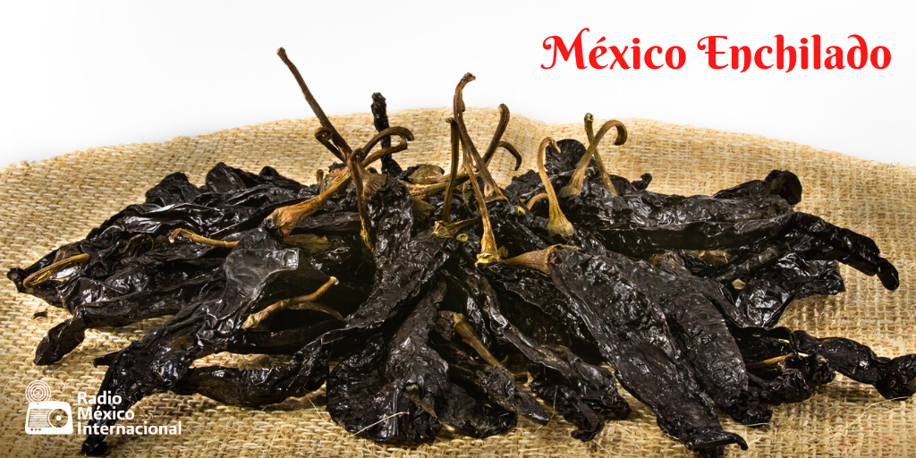 rmiimer's tweet photo. #MéxicoEnchilado🌶️| ¿Sabes el origen del nombre chile #pasilla? 🤔
Es la forma seca del chile #Chilaca, de textura brillante y arrugado como una uva pasa, de ahí se deriva el nombre #Pasilla. Ingrediente esencial para la clásica salsa borracha🤤.
17 hrs⏰en #RMI📻 https://t.co/KKB2FuLGIw