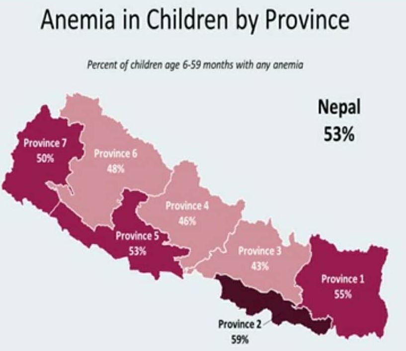 Bhai Nepal tweet media