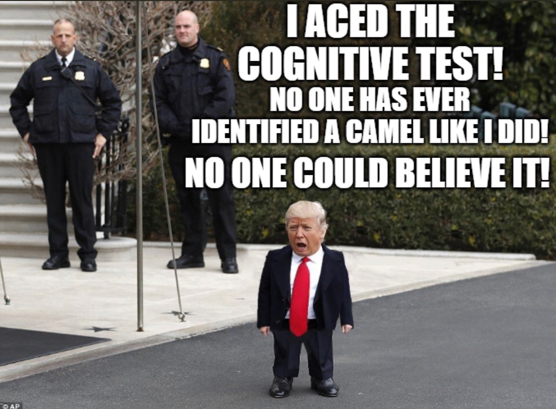 FPL_GAZ's tweet photo. @RepsForBiden @JoeBiden Laughing stock when Trump was elected.
World stopped laughing since.
It’s not funny anymore and neither is the clown in chief.
#AmericaOrTrump
#TrumpIsNotALeader
#DonaldTrumpIsRuiningOurCountry
https://t.co/sKuS4HrnuC https://t.co/SWOi2VQmem