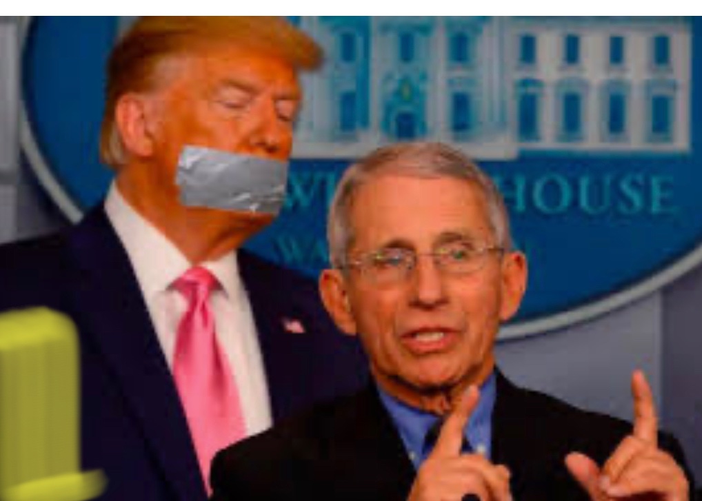 FPL_GAZ's tweet photo. @RepsForBiden @JoeBiden Laughing stock when Trump was elected.
World stopped laughing since.
It’s not funny anymore and neither is the clown in chief.
#AmericaOrTrump
#TrumpIsNotALeader
#DonaldTrumpIsRuiningOurCountry
https://t.co/sKuS4HrnuC https://t.co/SWOi2VQmem
