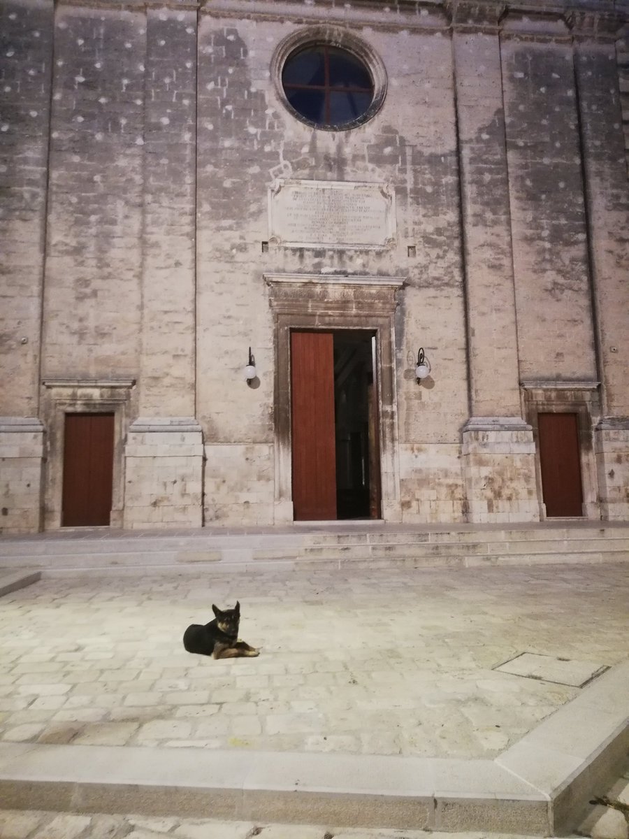 E non si dica che in Parrocchia non viene manco un cane! 😁