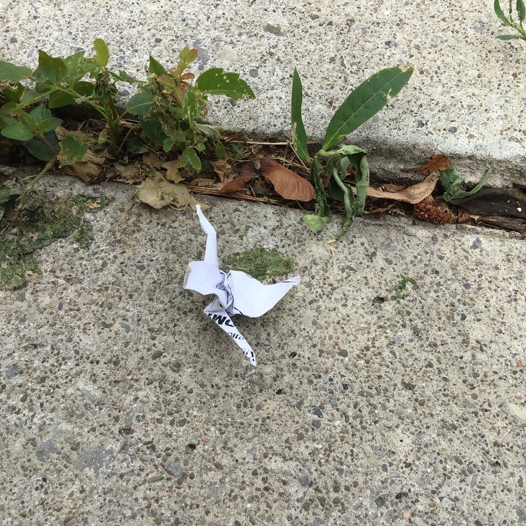 A found [pandemic era] origami swan, stranded on a concrete sidewalk, its flight interrupted.