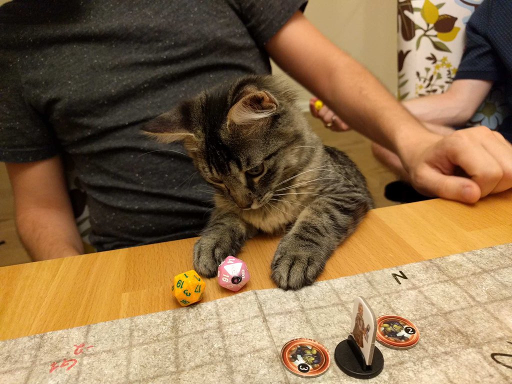 DM: ‘With a final roar, the Red Dragon goes down, slain by a mixture of true grit and good fortune. What do you do now?’Cat: ‘I grab it by the neck and take it back to camp’DM: ‘What?’Cat: ‘I grab it—‘DM: It weighs over 10 tonnes!(Cat rolls against 'Strength' anyway)