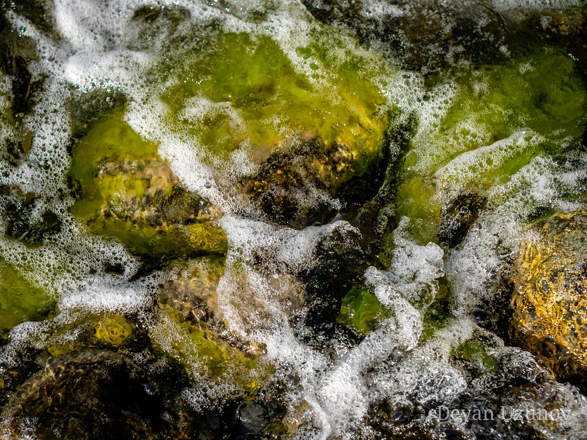 DeyanUzunov's tweet photo. Some Sea Foam
#blacksea #seafoam #searocks https://t.co/asLmmdTIDg