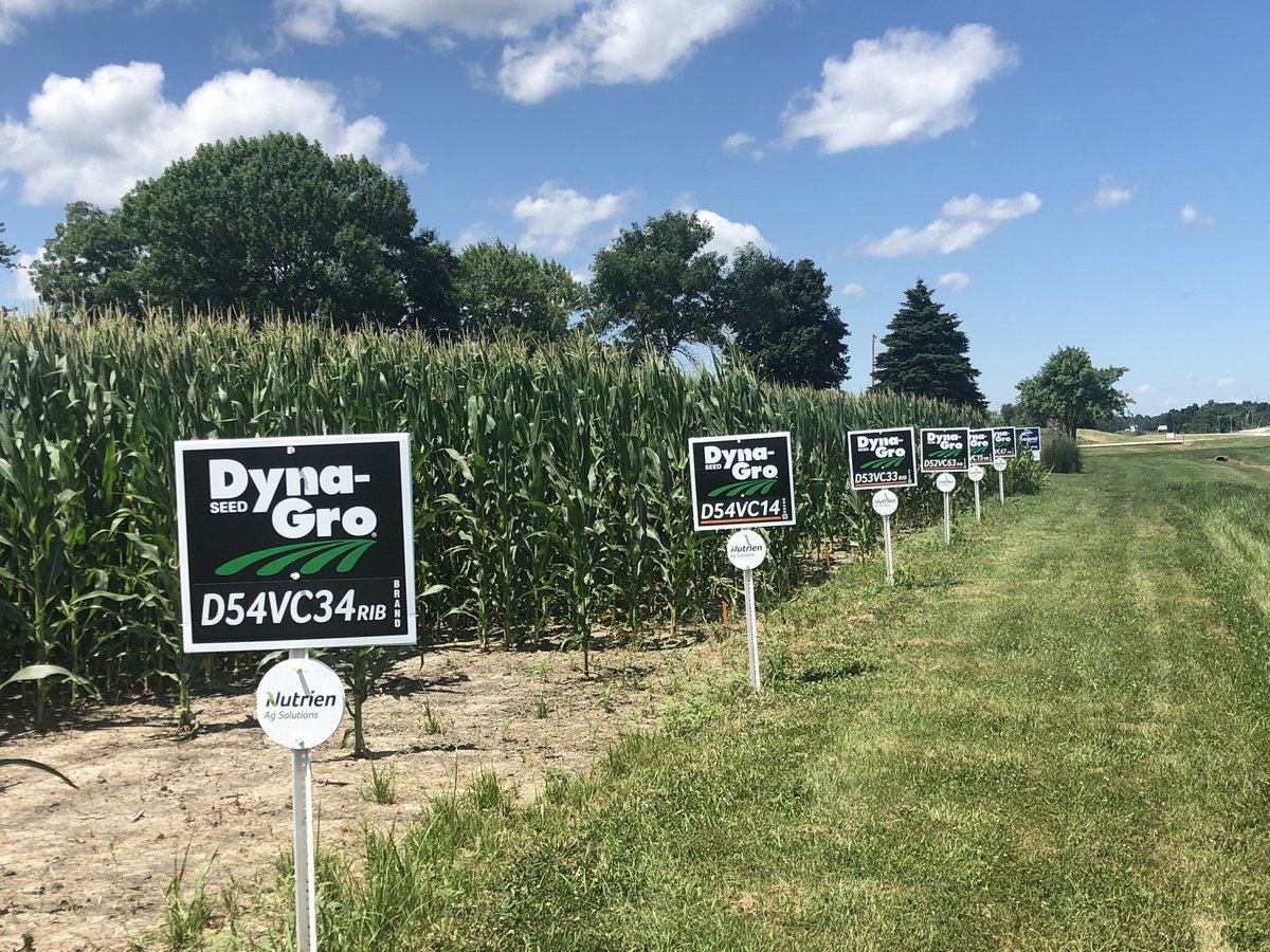 Great day walking <a href="/DynaGroSeed/">Dyna-Gro Seed</a> corn plots! The 2020 product class looks good. <a href="/ag_central/">Nutrien Ag Solutions- WC IL/MO Division</a>