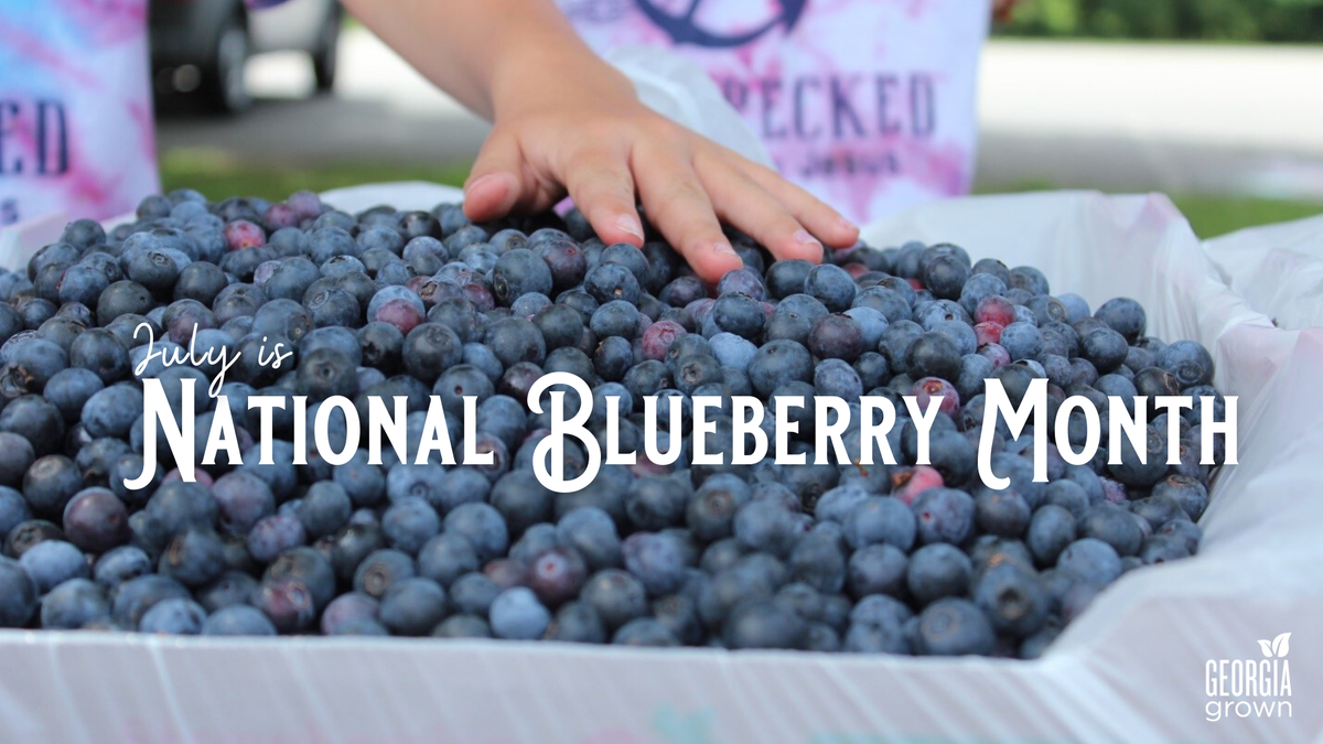 GeorgiaGrown's tweet image. Though we've passed the peak of Georgia's #blueberry season, we're reminded that Georgia's one of the top producers of blueberries in the country! #NationalBlueberryMonth #georgiagrown