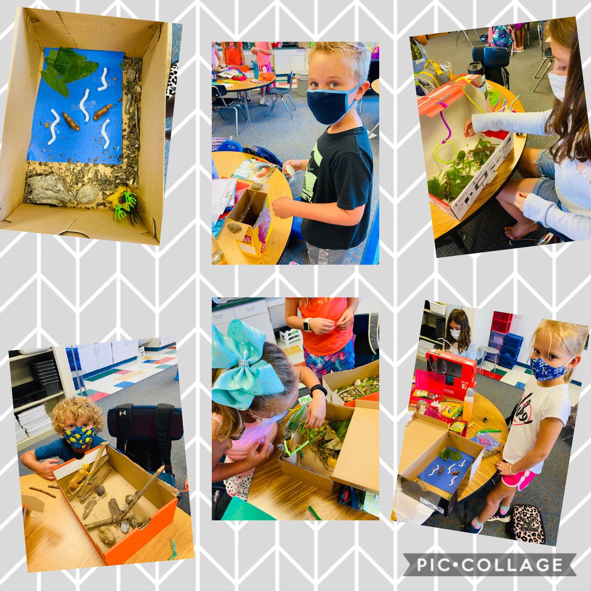 Summerblair32's tweet photo. We started constructing our zoo animal enclosures today! #zooanimals #GVSOAR2020 #gveaglesstrong https://t.co/54szy8C6xv