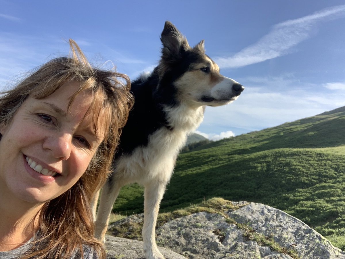 Wild camp heaven #LakeDistrict