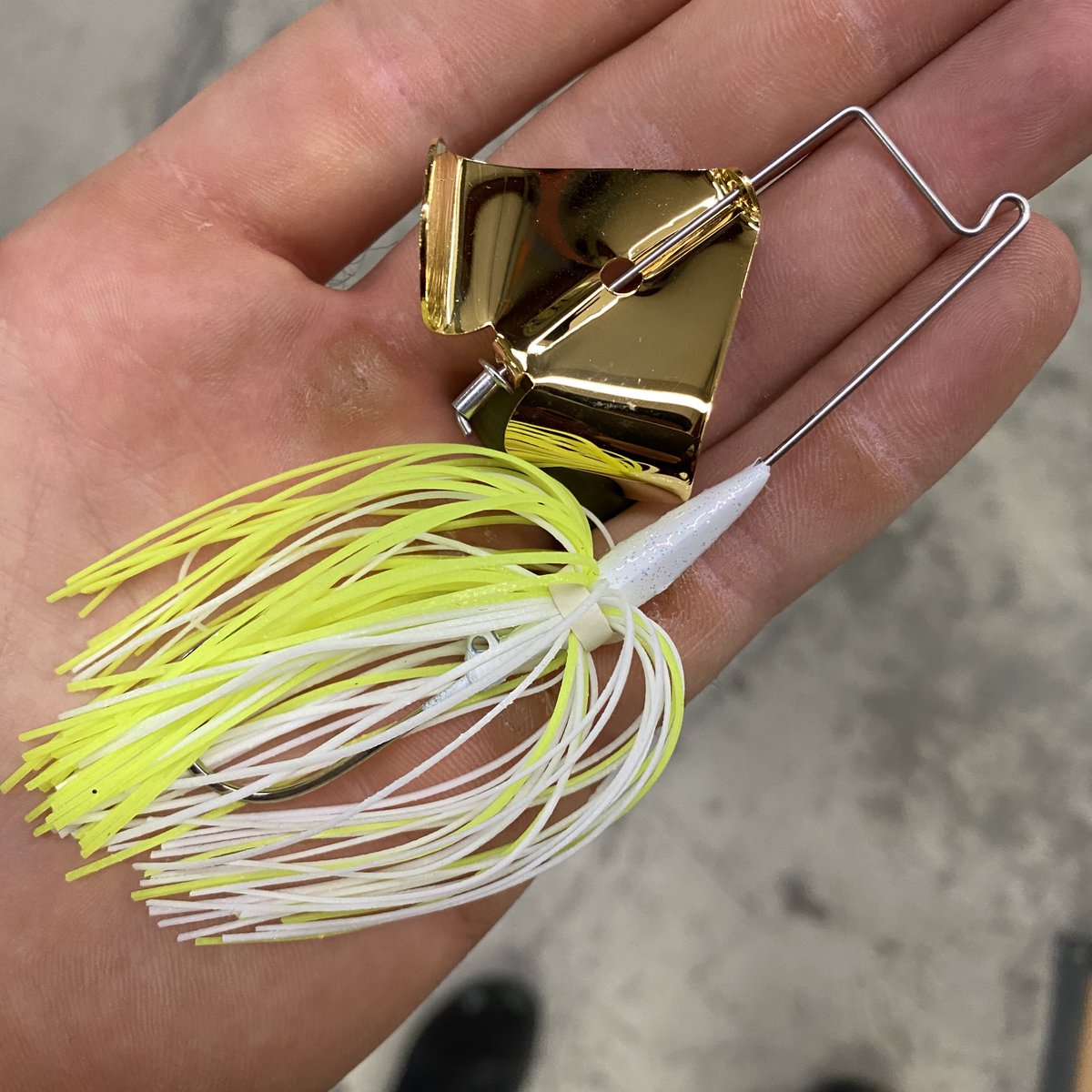 Bright Buzzbait or dark buzzbait? I always carry two colors- white and black.