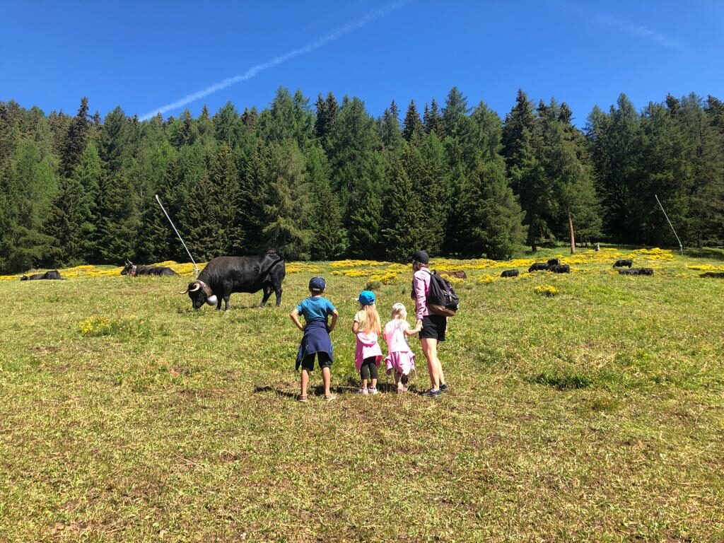 lheuredelasieste tweet media