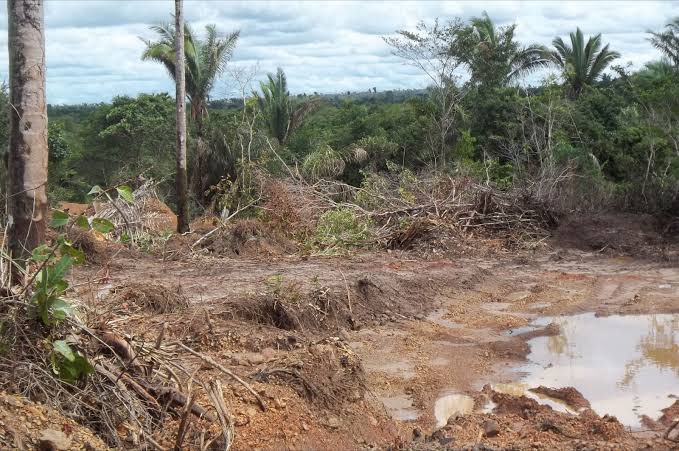 Diogotapuio's tweet photo. O vendaval que ocorreu hoje na tarde de hoje em São Luís pode ter relação direta com a destruição da Amazônia  e as severas mudanças climáticas que enfrentamos no Brasil. https://t.co/gkI2ew0sjK