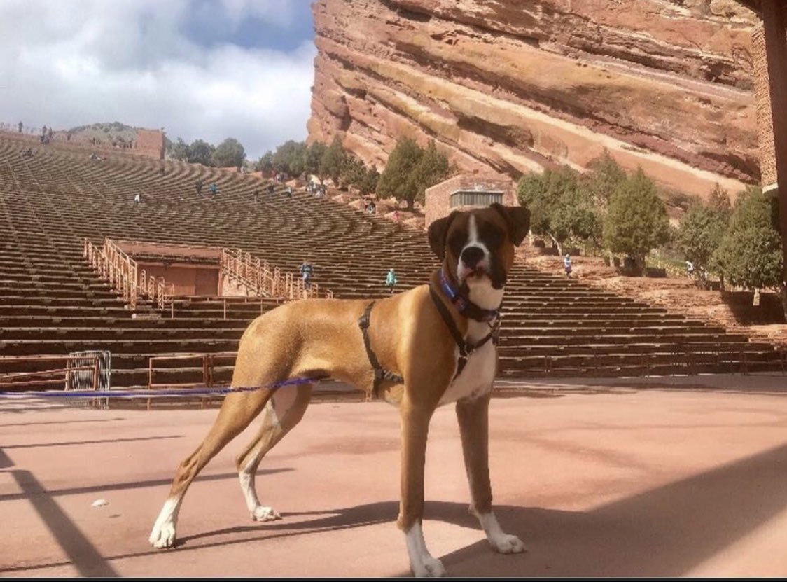 ❤️Happy 3rd Birthday sweet Finley.❤️