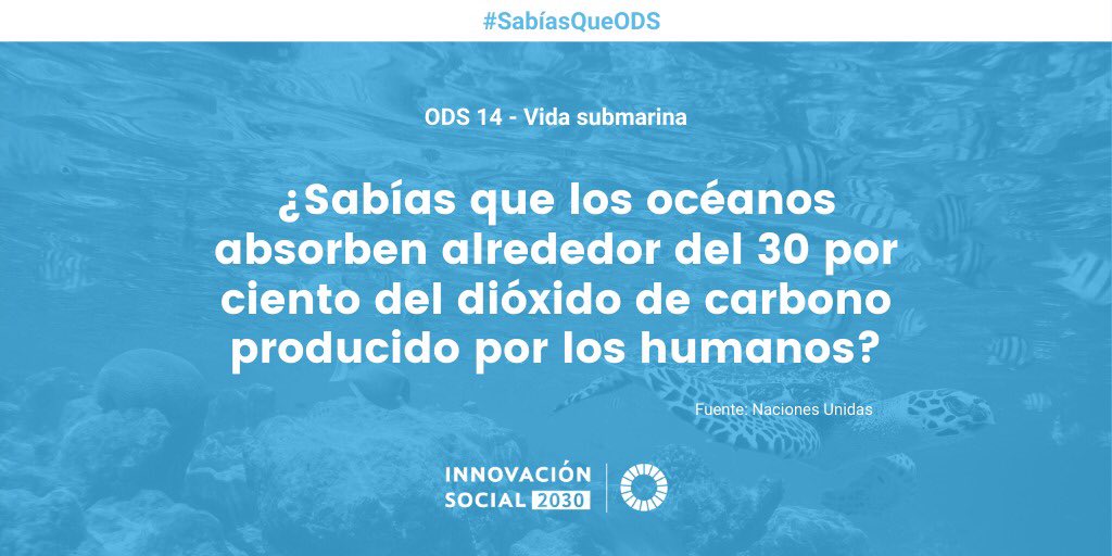 Innovación Social 2030 tweet media