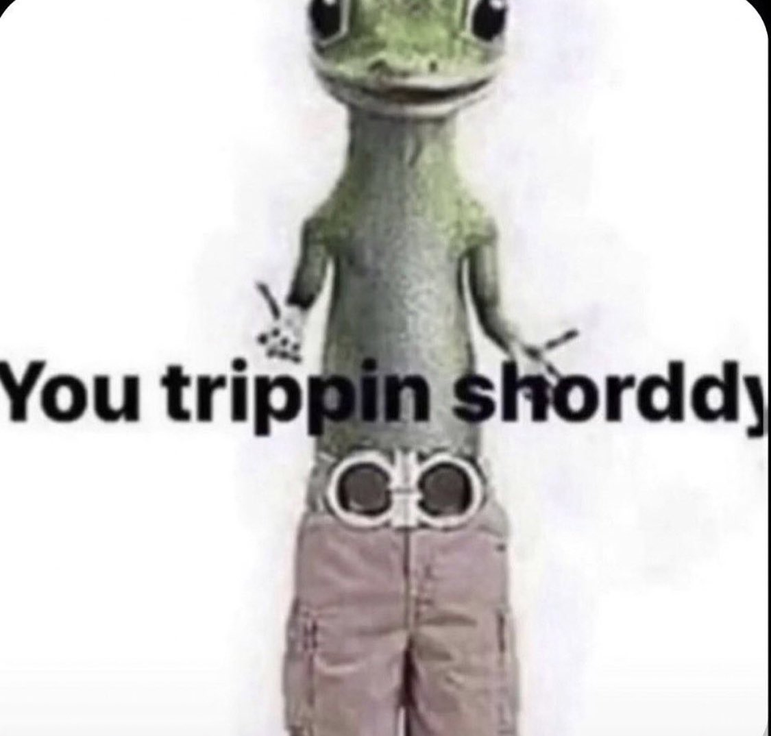 Mood rn after seeing people repeatedly beg for likes on a pic over their instagram story