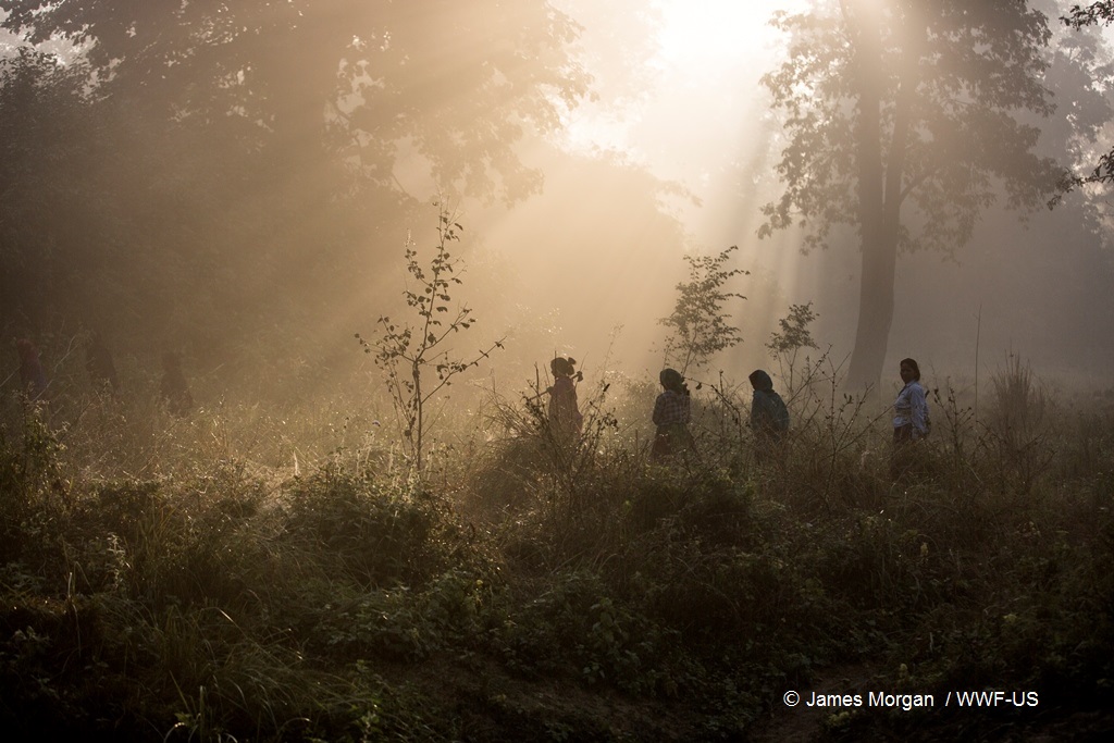 The efforts of local communities in managing #forests often go unnoticed. Our new report with <a href="/IIED/">IIED</a> highlights approaches that can help enable better recognition of these communities and halt unnecessary forest destruction. @JujYoung <a href="/DuncanMacqueen/">ben.eth</a> 

forestsolutions.panda.org/insights/time-…